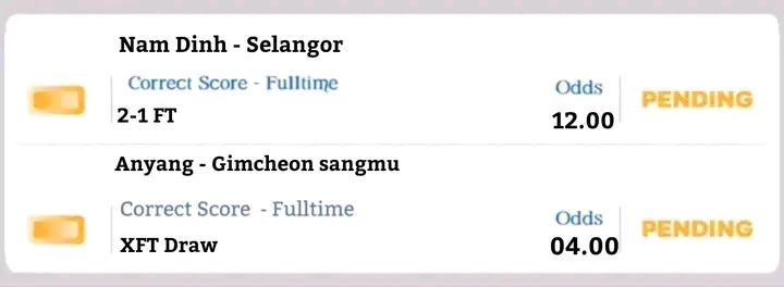 Nam Dinh vs Selangor and Anyang vs Gimcheon Tips